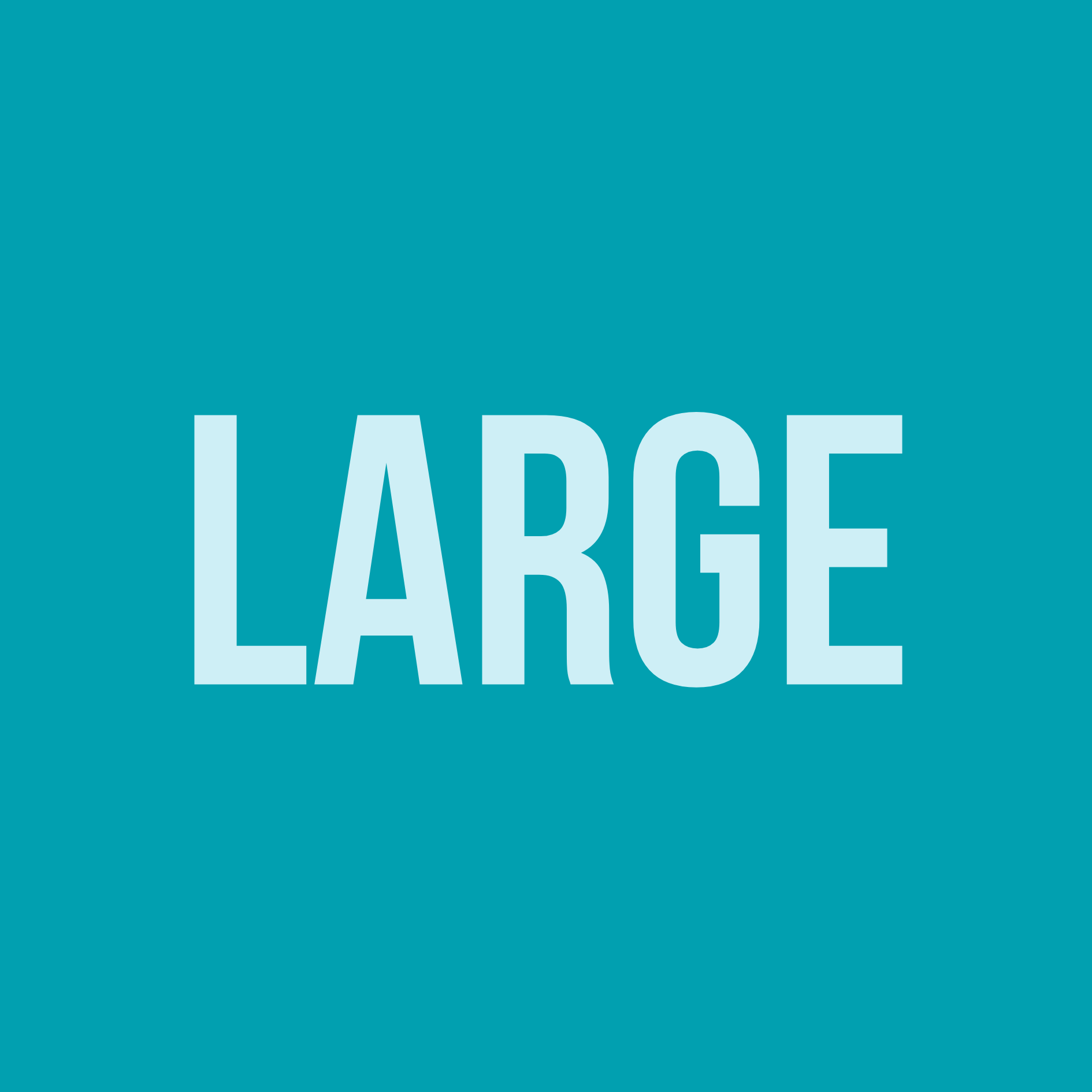 Last Chance - Large