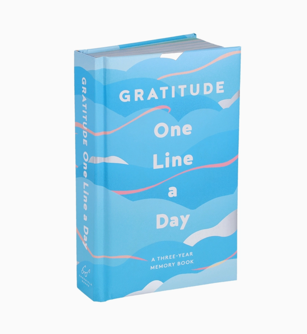 Gratitude One Line A Day