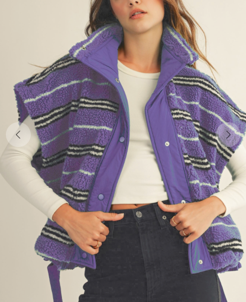 Wildest Dreams Sherpa Striped Vest