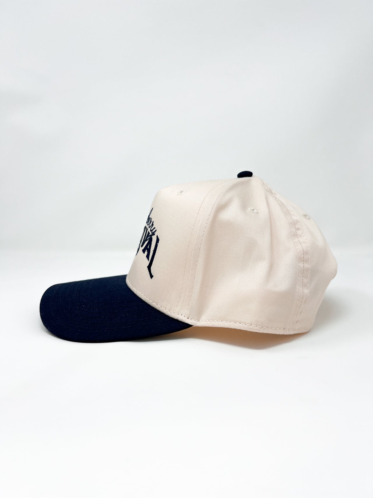 Vintage Blueberry Festival Hat