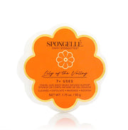 Spongellé Daisy Spongettes Lily of the Valley on a light green background