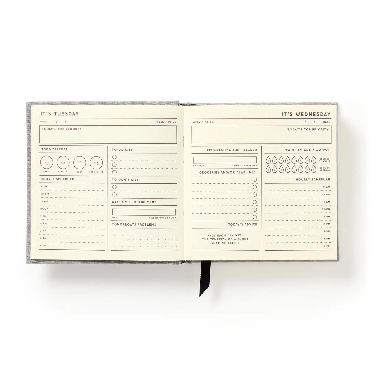 Brass Monkey My Master Plan Productivity Guide