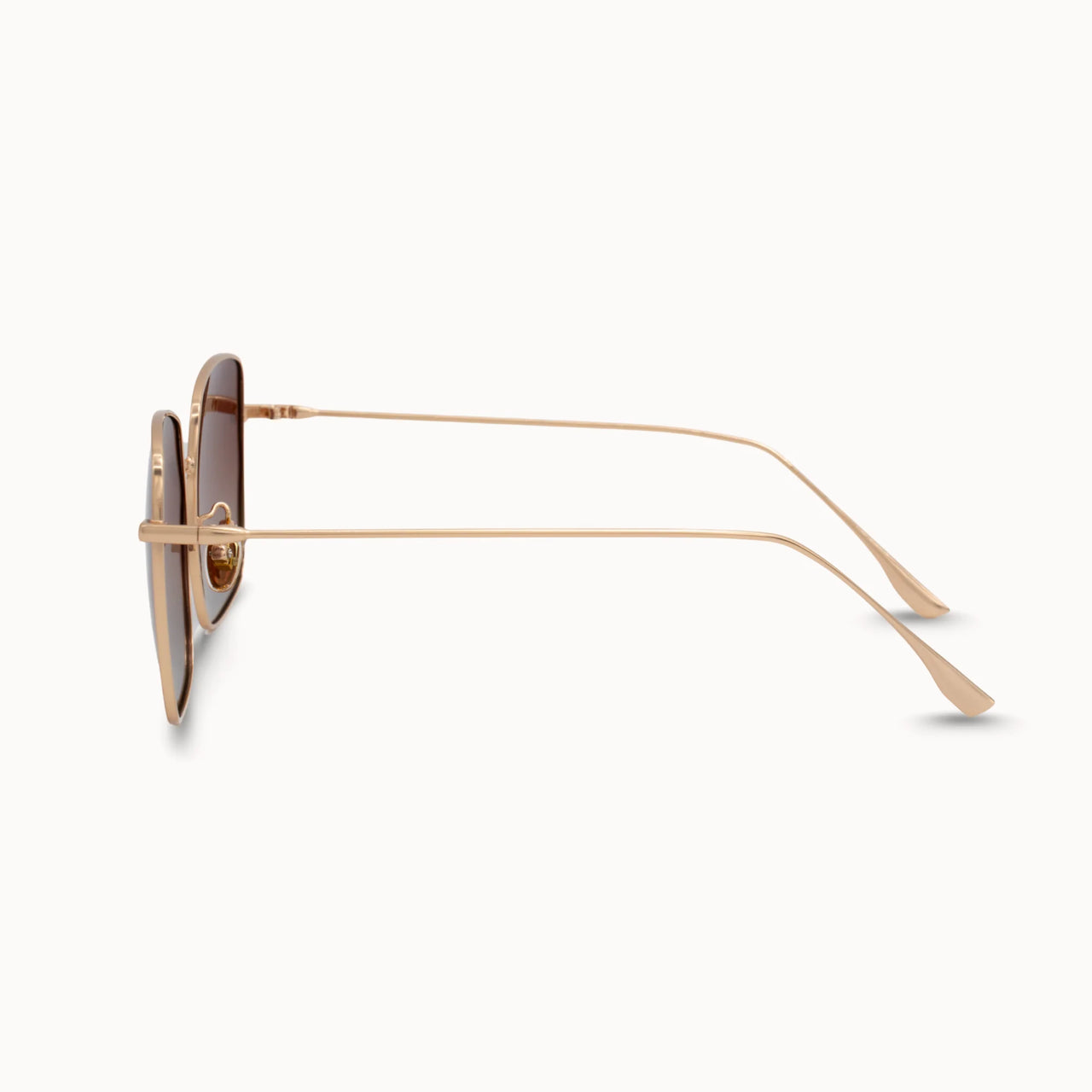 {DAX} Saint in Brown Sunglasses