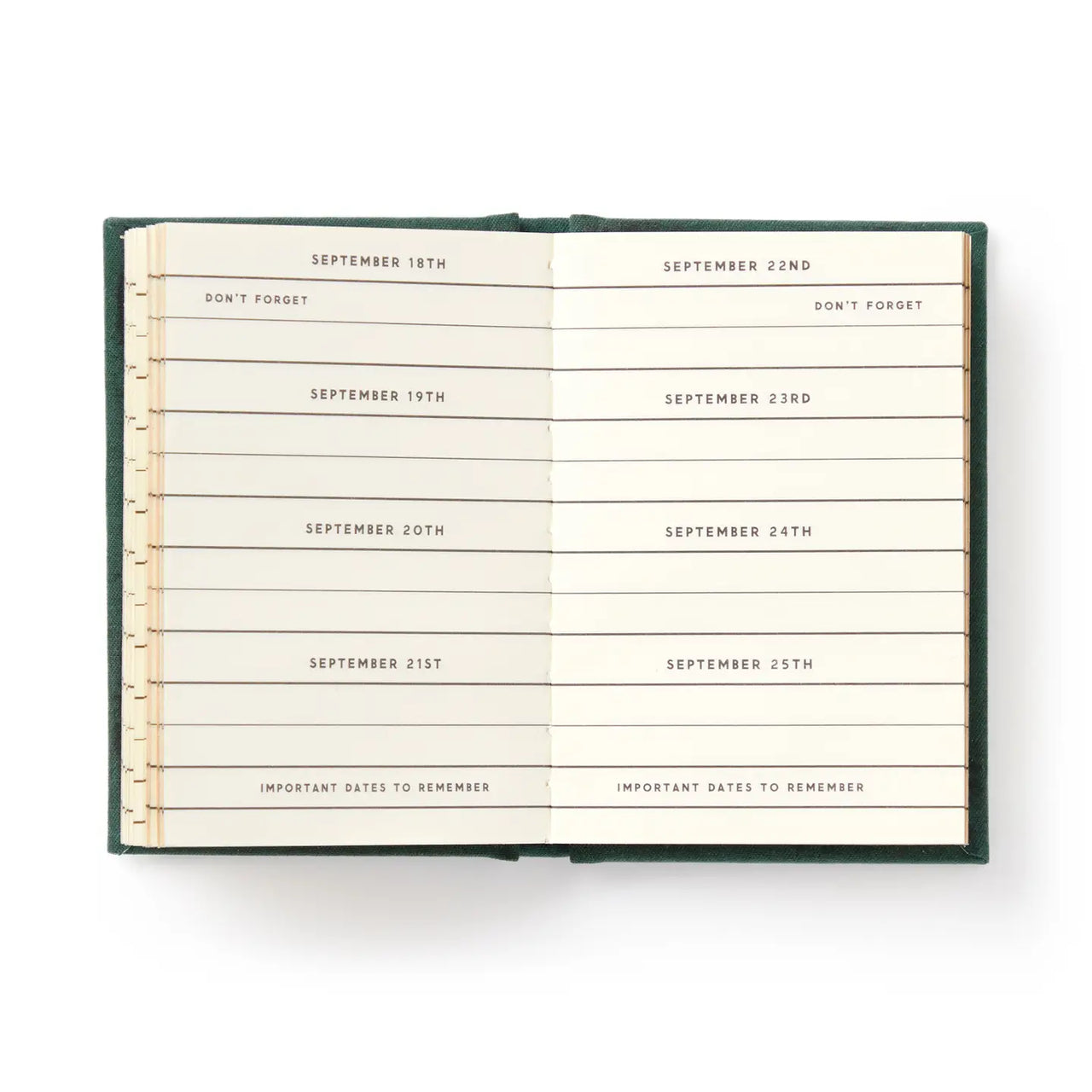 Brass Monkey Dates People Get Mad If I Forget Tiny Diary